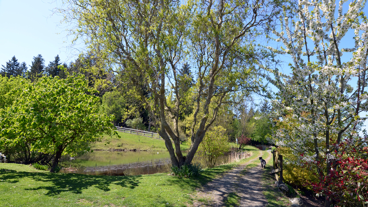 garden pathway